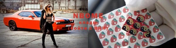стафф Аркадак