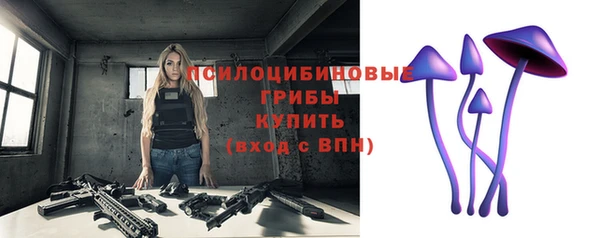 герыч Арсеньев