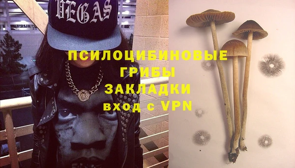 стафф Аркадак