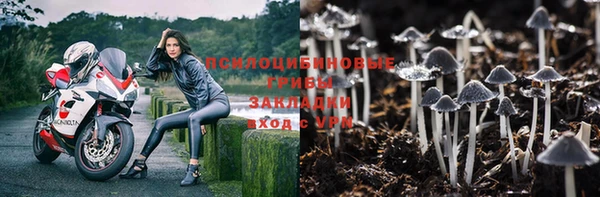 герыч Арсеньев