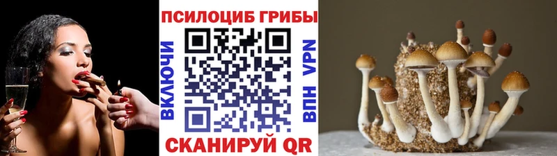 Галлюциногенные грибы Magic Shrooms  купить наркотик  Устюжна 